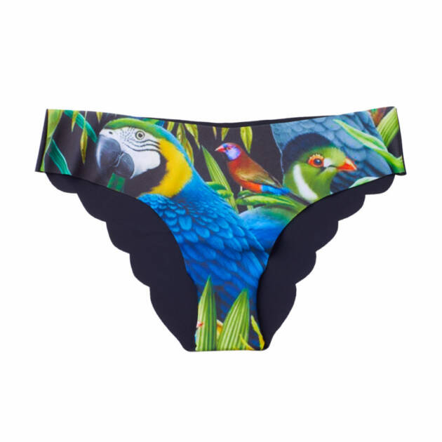 Culotte mix perroquet