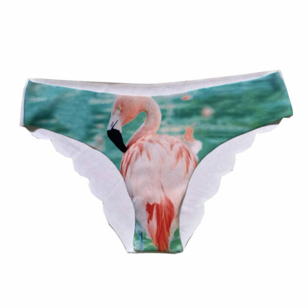 Culotte Flamand Rose